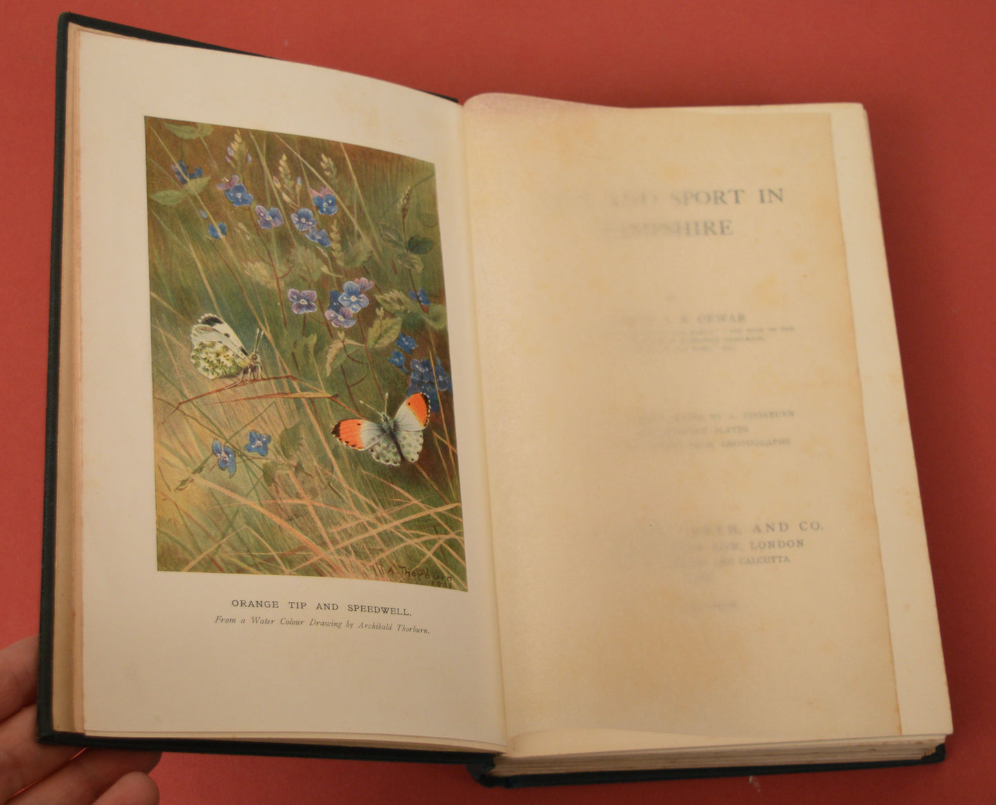 Life and Sport in Hampshire by George Dewar, Illustrated by Archibald Thorburn, 1908