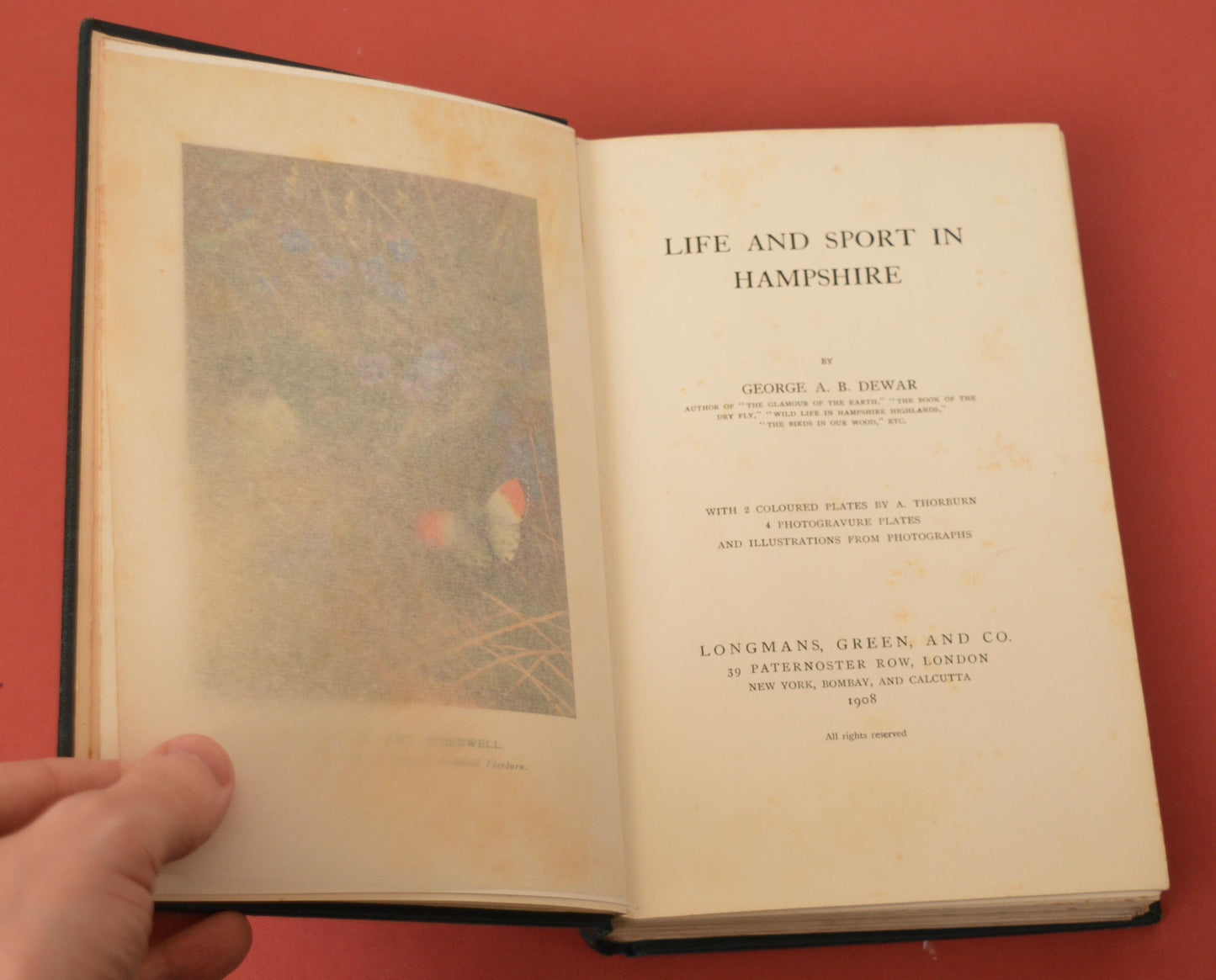 Life and Sport in Hampshire by George Dewar, Illustrated by Archibald Thorburn, 1908