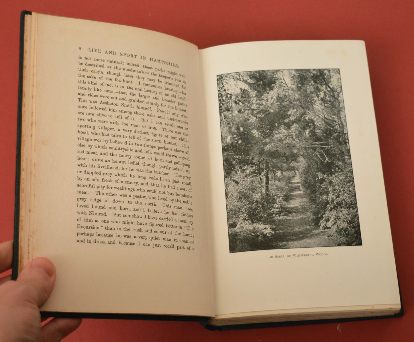 Life and Sport in Hampshire by George Dewar, Illustrated by Archibald Thorburn, 1908