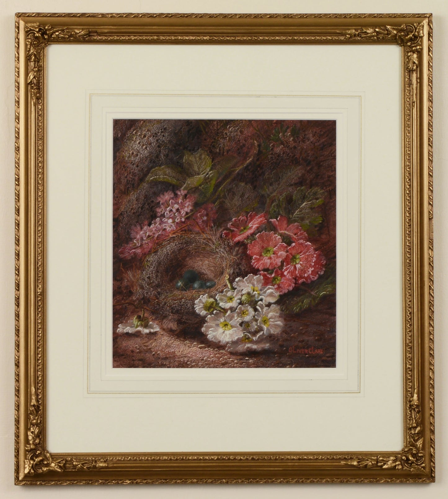 Primulas and a Robin's nest - Painting by Oliver Clare