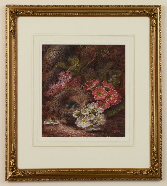 Primulas and a Robin's nest - Painting by Oliver Clare