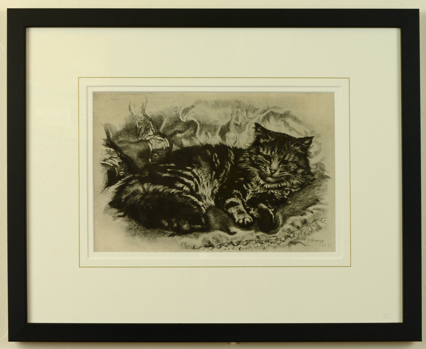Study of a Cat - etching by William Hamilton Snape