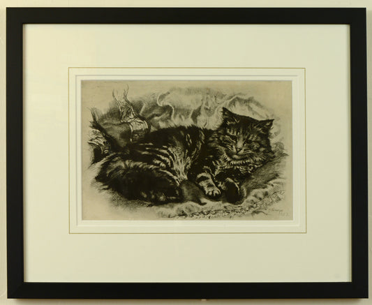Study of a Cat - etching by William Hamilton Snape