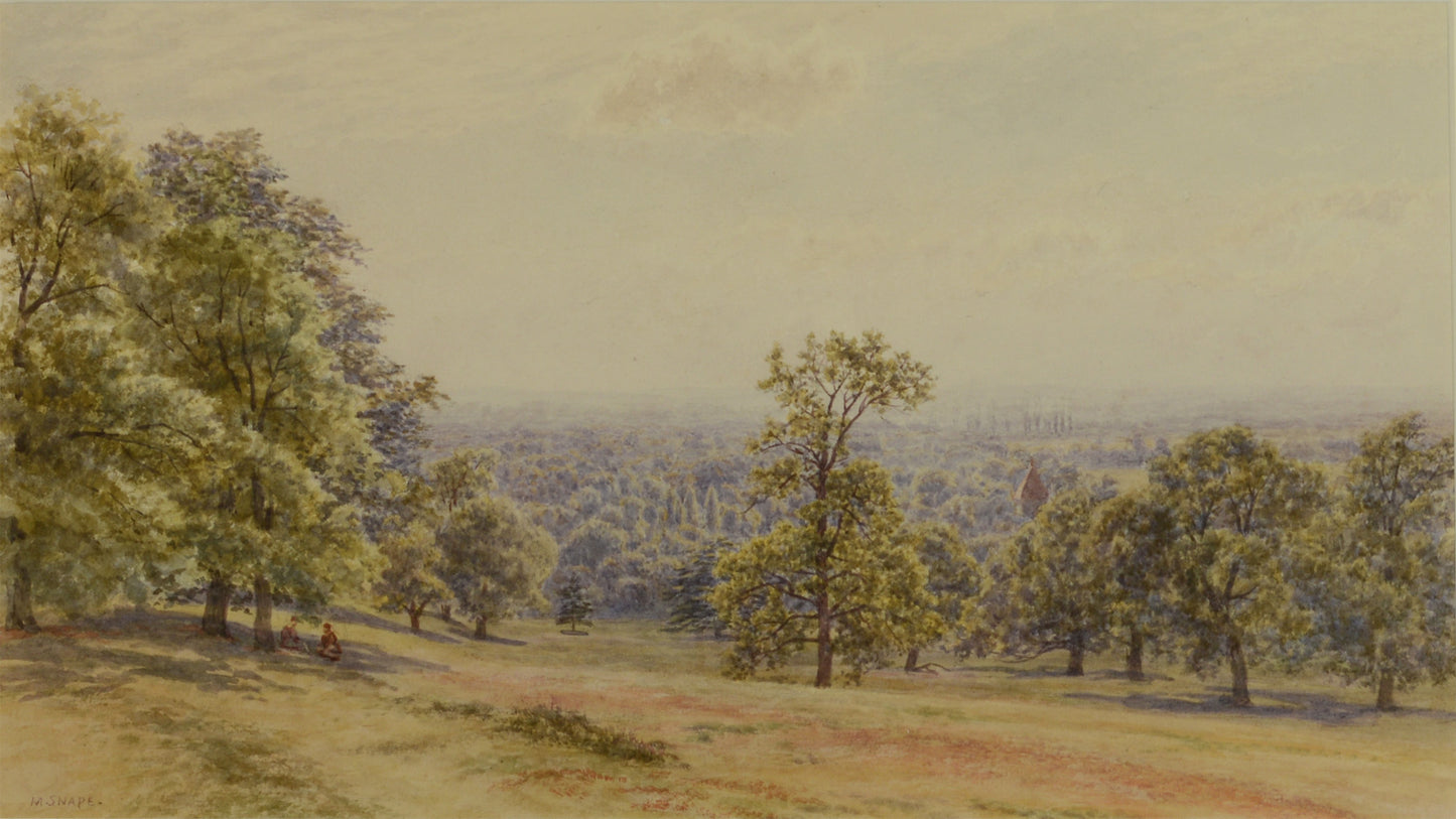 Watercolour of Petersham Common, Richmond by Martin Snape